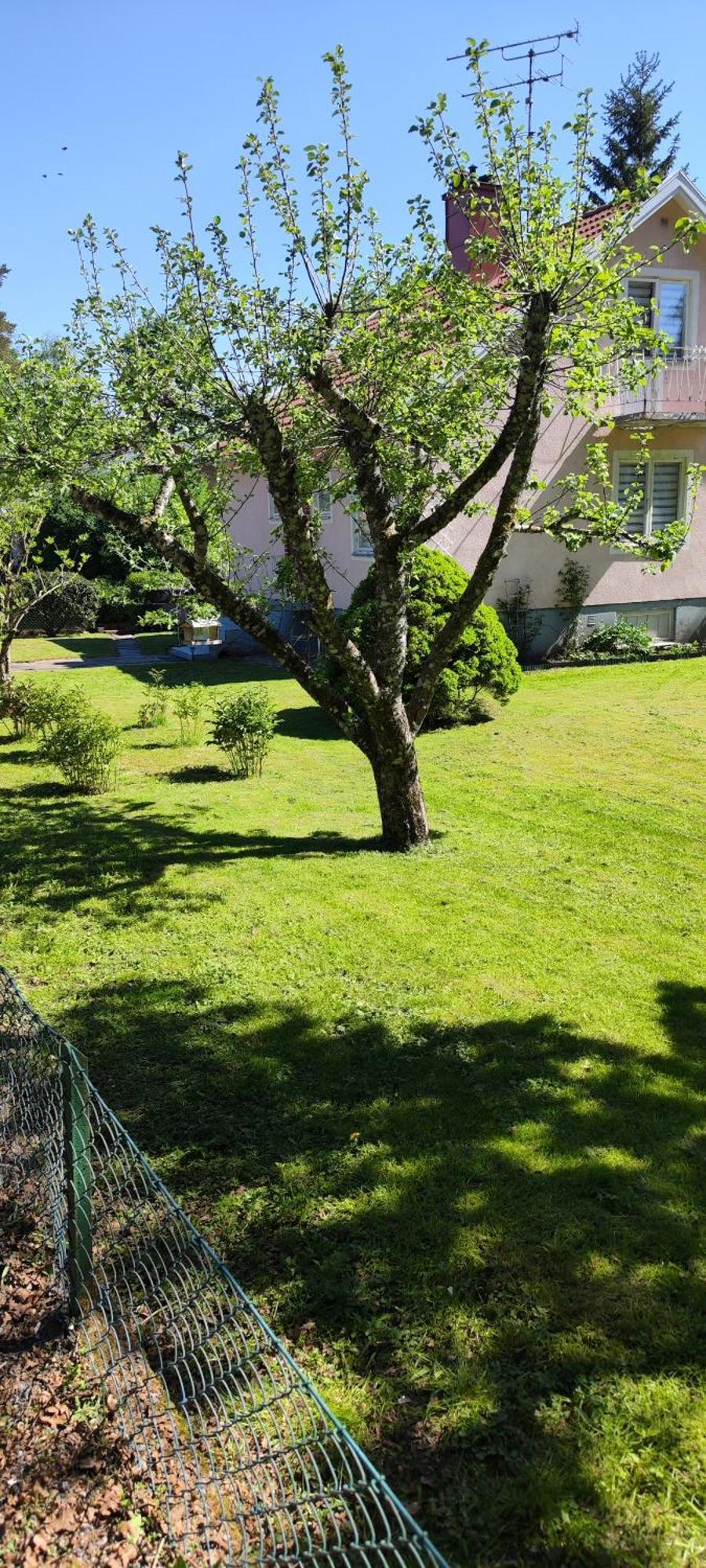 Hela Boendet Uthyres Överlida Exterior foto