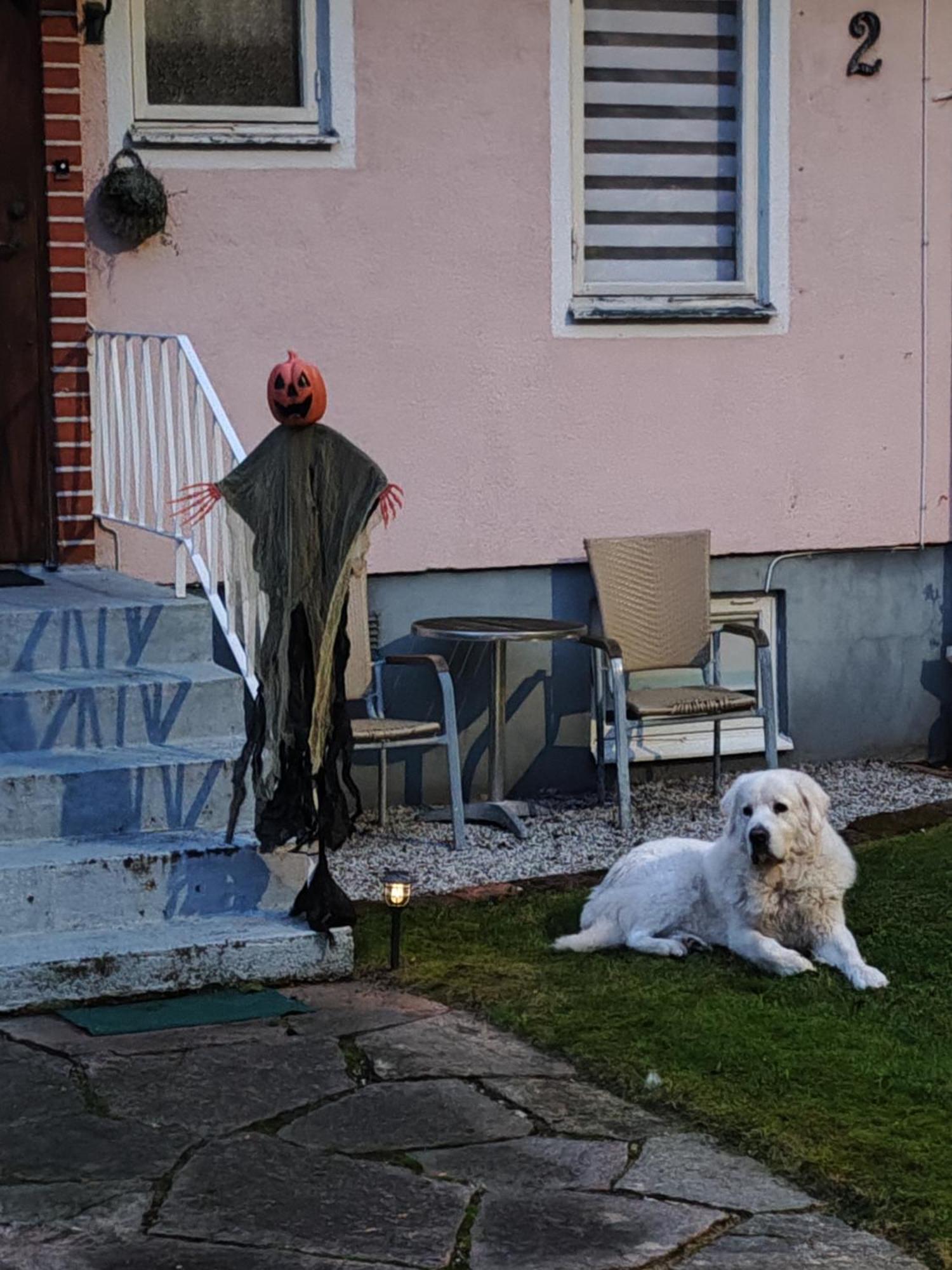 Hela Boendet Uthyres Överlida Exterior foto